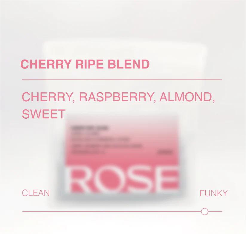 ROSE - Cherry Ripe Blend - (Colombia, Washed, Natural, and Co-Fermented , Blend)