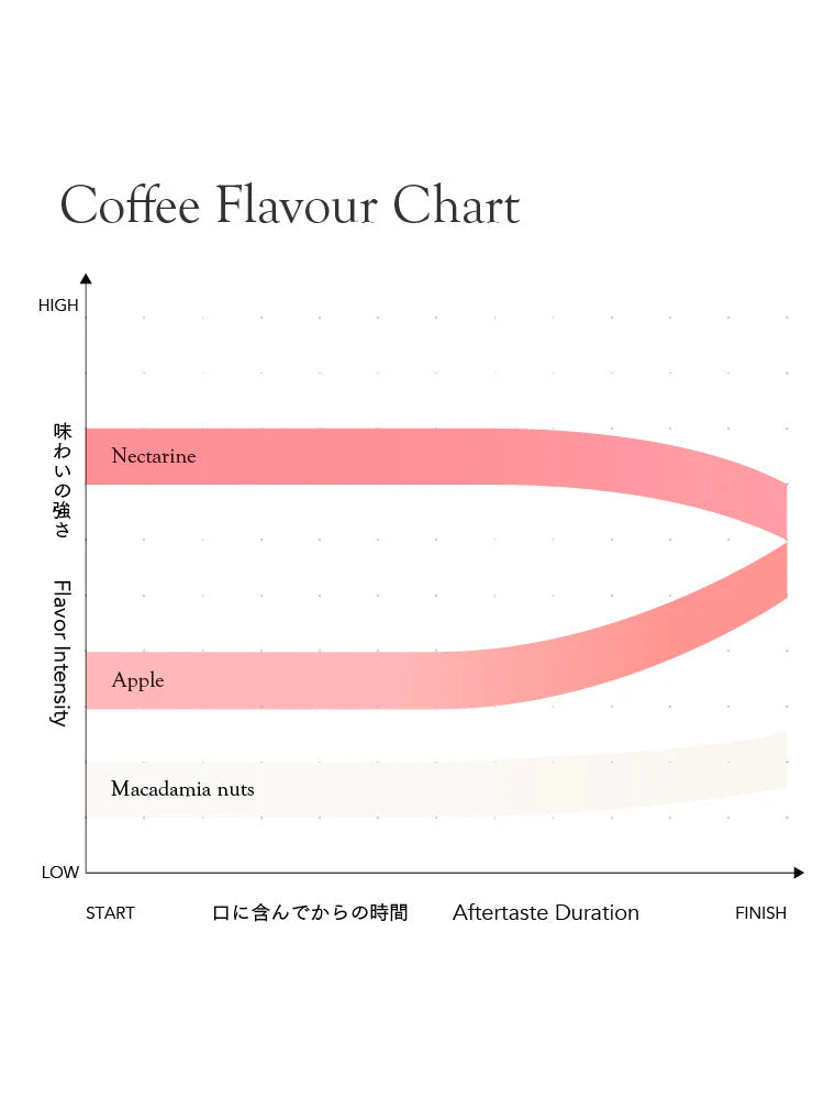 KURASU - FUYU MOE 冬萌 - (Guatemala, Ethiopia , Washed, Blend)