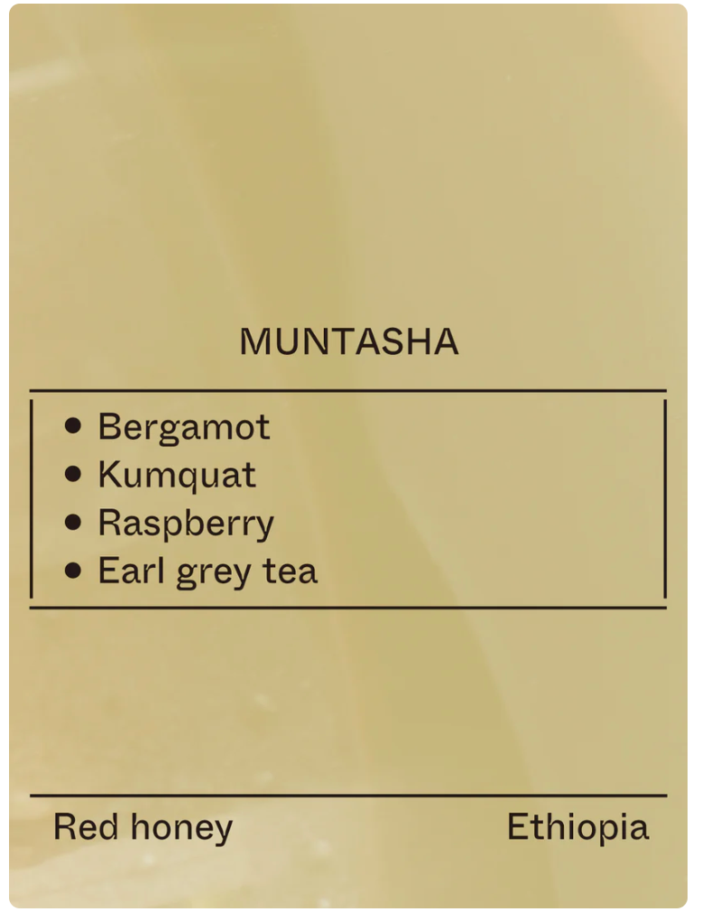 Terraform - Muntasha - (Ethiopia, 74158, Red Honey)