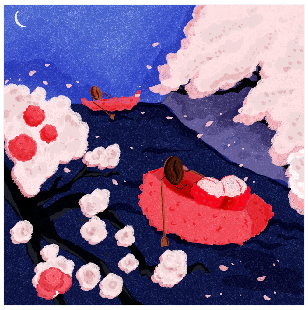 Hydrangea - Castillo Lychee Washed Santa Monica - (Colombia, Washed Co-ferment with Lychee, Castillo)