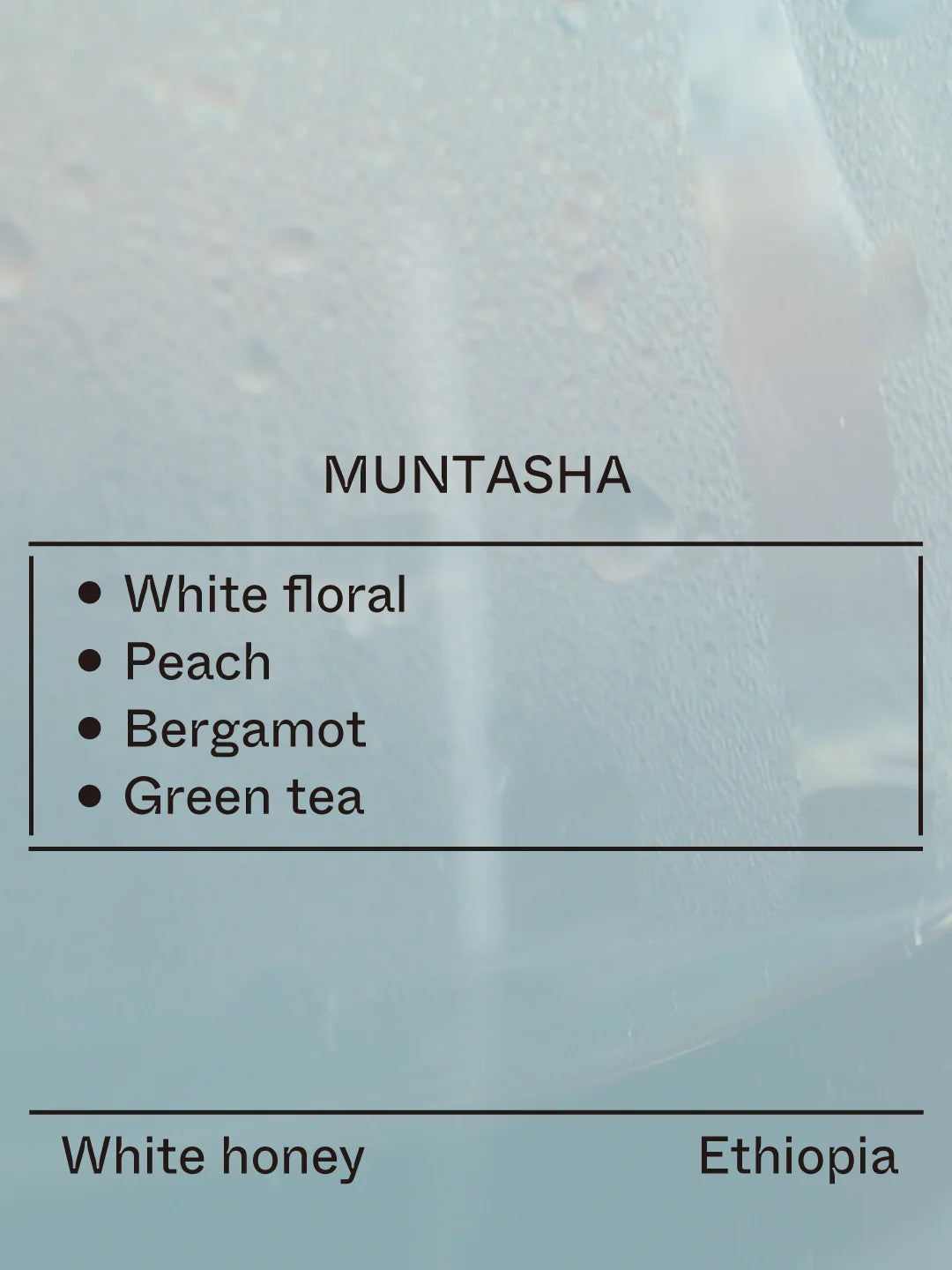 Terraform - Muntasha - (Ethiopia, 74158, white Honey)