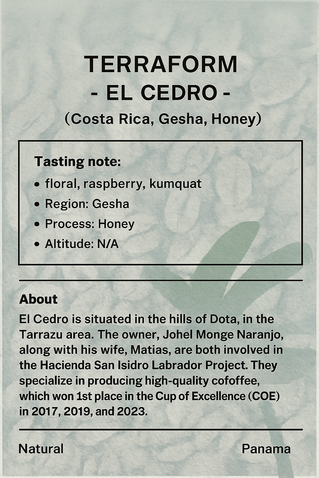 Terraform -  El Cedro - (Costa Rica, Gesha, Honey)