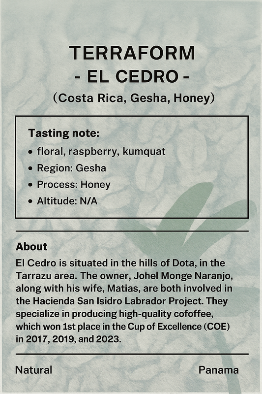 Terraform -  El Cedro - (Costa Rica, Gesha, Honey)