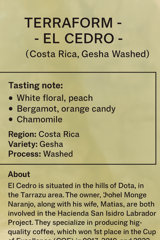Terraform -  El Cedro - (Costa Rica, Gesha, Washed)