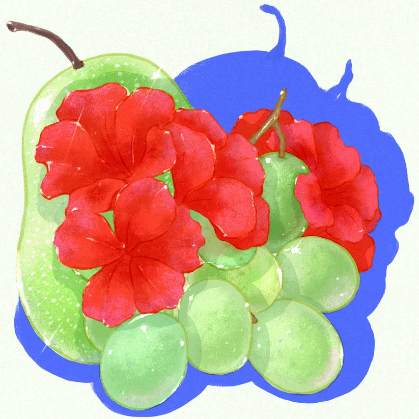 Hydrangea - Typica Anaerobic Washed Pillcocaja Coffee - (Colombia, washed , Typica)