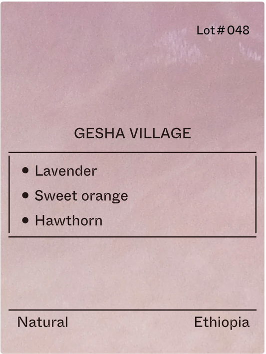 Terraform - Geisha Village- (Ethiopia, Gesha 1931, Natural)