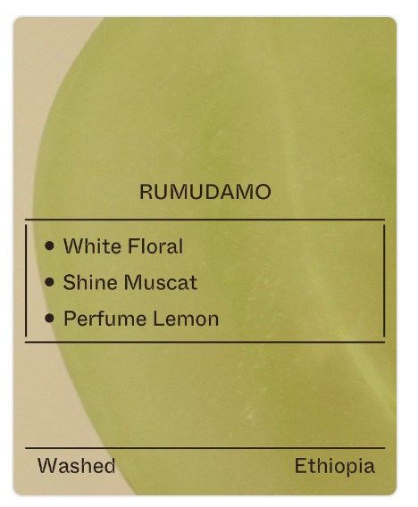 Terraform -  Rumudamo - (Ethiopia, 74110, Washed)