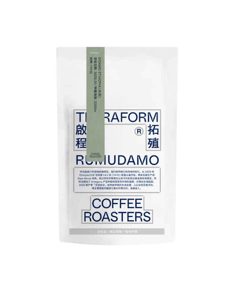 Terraform -  Rumudamo - (Ethiopia, 74110, Washed)
