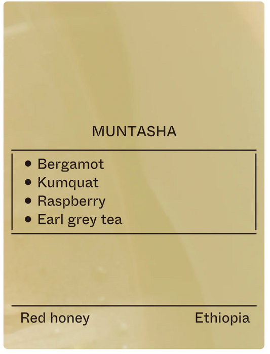 Terraform -  Muntasha - (Ethiopia, 74158, Red Honey)