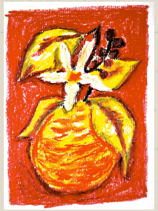 Taith - Lot 20 'The Lab' - (Kenya, Anaerobic Natural Orange Co-Ferment , Ruiri 11, Batian, SL-28)