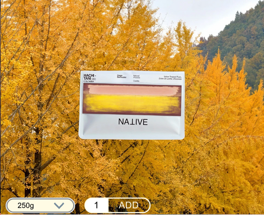 NATIVE -  HACHI - TANI (谷) - (COLOMBIA, Natural, CASTILLO)