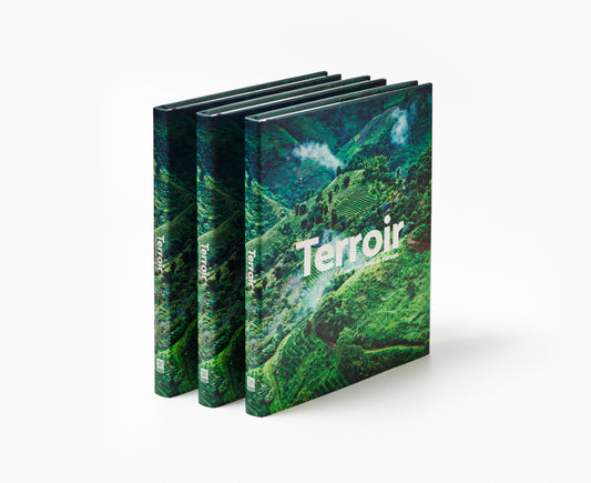 Terroir - Coffee from Seed to Harvest