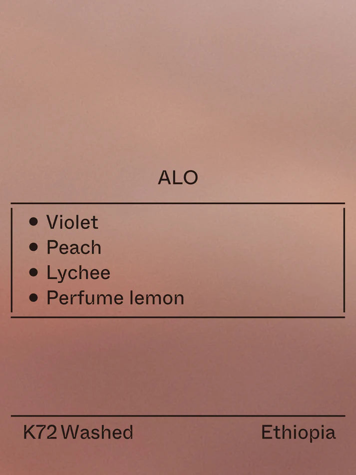 Terraform -  Alo - (Ethiopia, 74158,  K72 Washed)