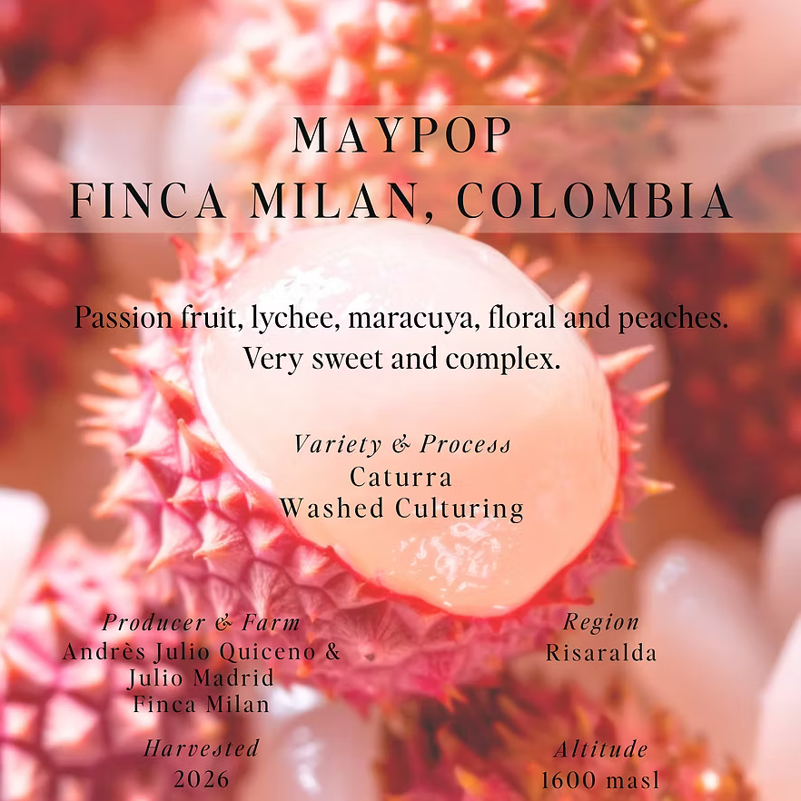 SUMO - Finca Milan, Maypop - (Colombia, Washed Culturing, Caturra)