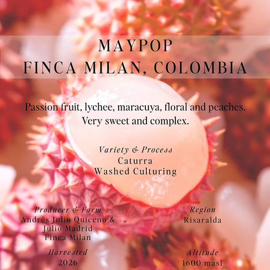 SUMO - Finca Milan, Maypop - (Colombia, Washed Culturing, Caturra)