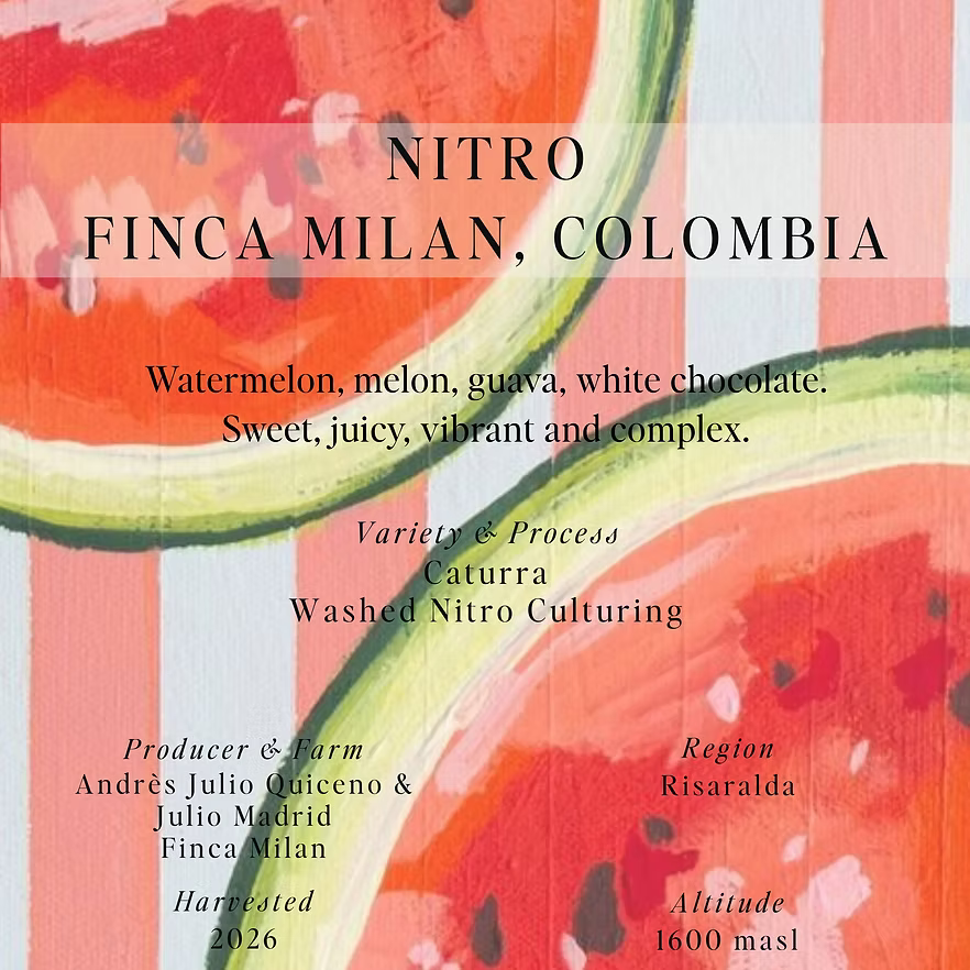 SUMO - Finca Milan, Nitro - (Colombia, Washed Nitro Culturing, Caturra)