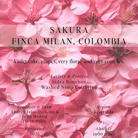 SUMO - Finca Milan, Sakura - (Colombia, Washed Nitro Culturing, Caturra)