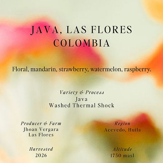 SUMO - Las Flores - (Colombia, Washed Thermal Shock, Java)