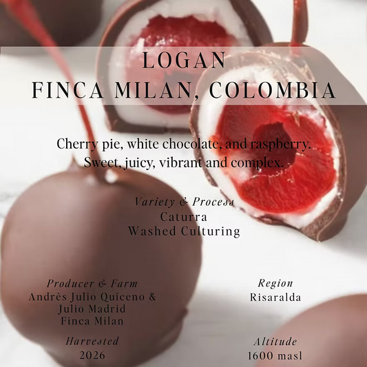 SUMO - Finca Milan, Logan - (Colombia, Washed Nitro Culturing, Caturra)