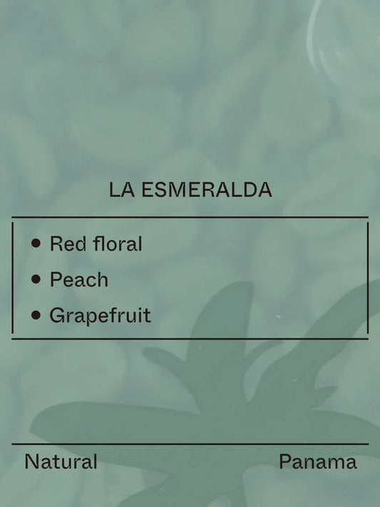 Terraform - Hacienda La Esmeralda El Velo - (Panama, Gesha, Natrual)