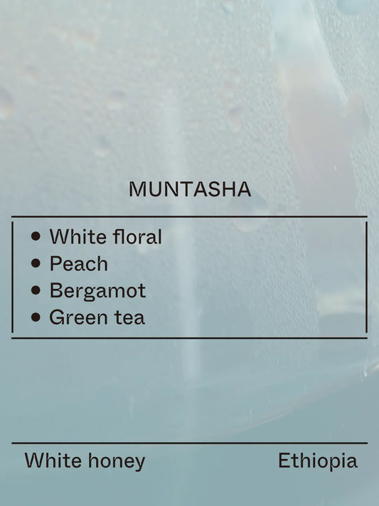 Terraform -  Muntasha - (Ethiopia, 74158, white Honey)