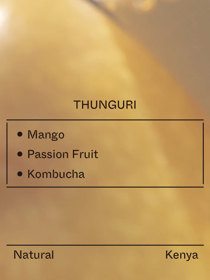 Terraform -  Thunguri - (Kenya, SL28&SL34&Ruiru11&Batian, Natrual)